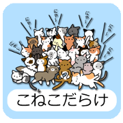 Crazy about CATS!