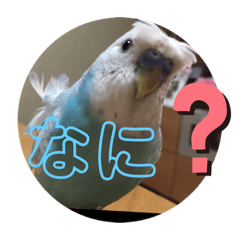 arisa_20200525131324