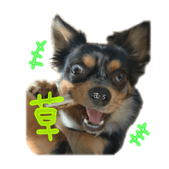 yukari_20200525111151