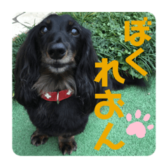 Nagisa_20200525110536