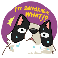 I'm Bangkaew.. wait WHAT!?
