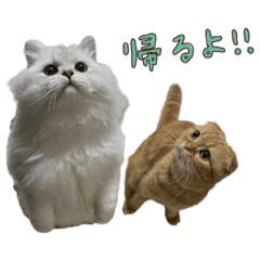 chisa_20200524235041