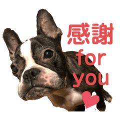 SHIRATOMO_20200525120253