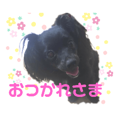 YUKARI_20200525020711