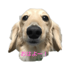 matsu_20200525071027