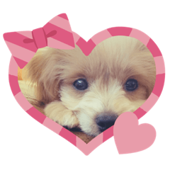 mizuki_20200525152406