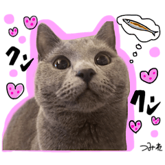 Tsumire Chartreux cute stickers