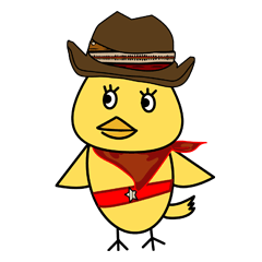 Cowboy Chick!