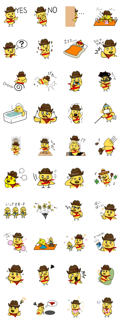 Cowboy Chick!