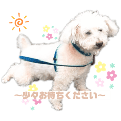 riho_20200525191845