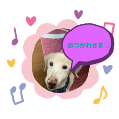 ken_20200525192705