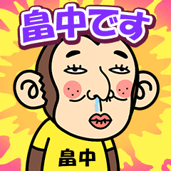 Hatanaka. is a Funny Monkey2