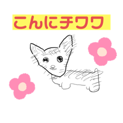 hitomin.blossom