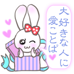 Lovely Fancy Rabbit's XOXO