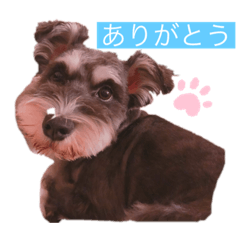 ymmstyuzunakago753753