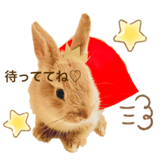 Mocka-kun of Rabbit