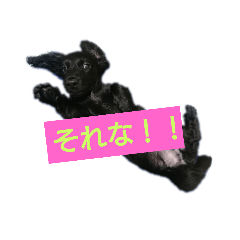 ask_20200525233500