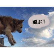 ZENITYU_20200525192227