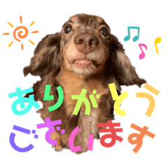 kayo_20200525162858