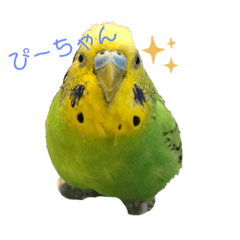 ken_20200525223913