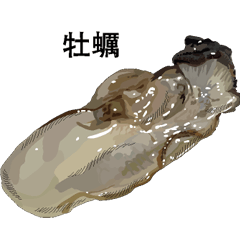 Oyster Chinese version