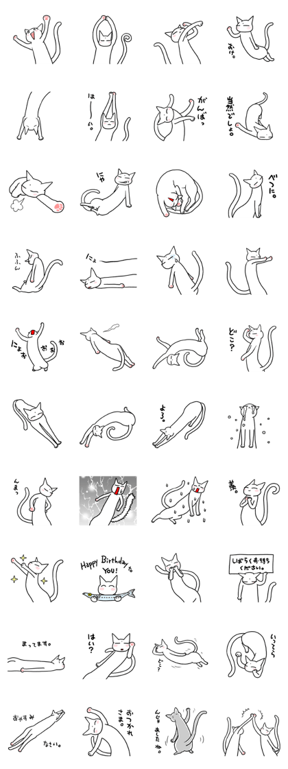 LONG CATs !
