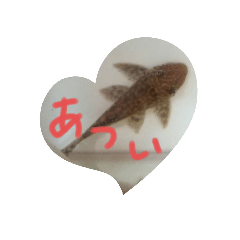 hikari_20200525180607