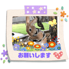 YAMADA_20200525162102