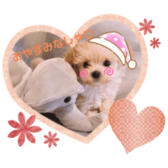 haruna_20200526002039