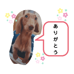 cherry_20200526002129