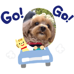 mishelu_20200526103944