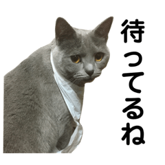 灰色ねこさん2 Lineクリエイターズスタンプ Stamplist