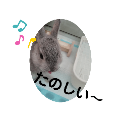 mizuki_20200526132634