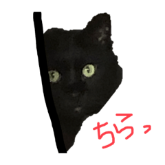 emily_20200526002724