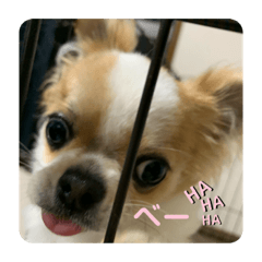 saya_20200526172600