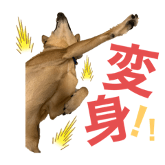 Haruna_20200526005558