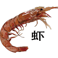Shrimp Chinese version