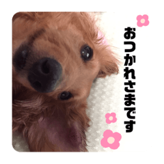 nanami_20200526173440