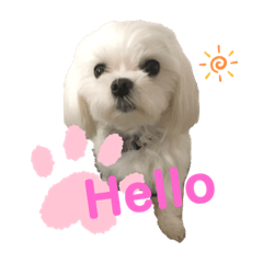 mizuki_20200526190839