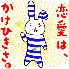 Yokoshima Rabbit.