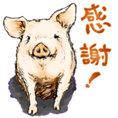 pig's life in traditional chinese