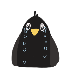 Silly black bird