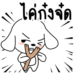 Latte - A funy dog (Kum-muang)