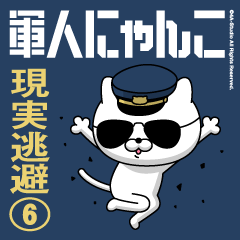 Military Cat 6 Reality Air Force LINE LINE STORE Military Cat 6 Reality Air Force LINE LINE STORE