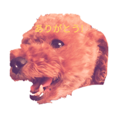 chibi_20200526205632