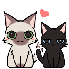 Black cat and seal point cat