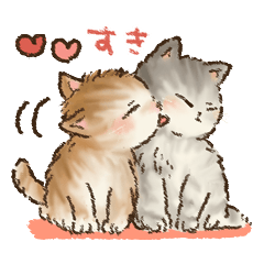 Kitten daily sticker