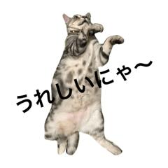 natsumi_20200526204504