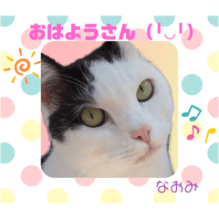 nanana_20200527002336