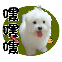 Q dog Q dog – LINE stickers